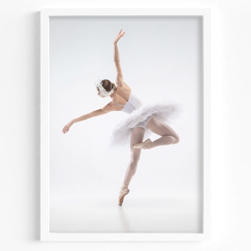 tablou balerina white
