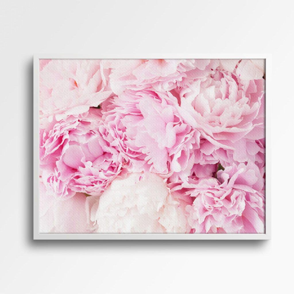 tablou canvas bujori roz Înfloriți