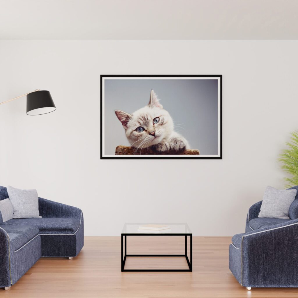 tablou canvas pisică ochi albaștri camera