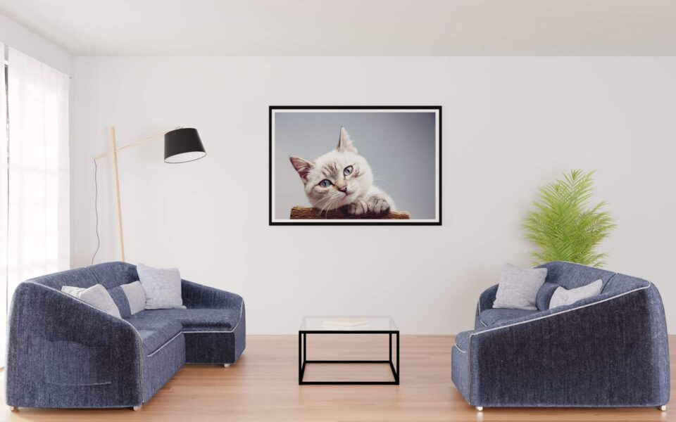 tablou canvas pisică ochi albaștri camera