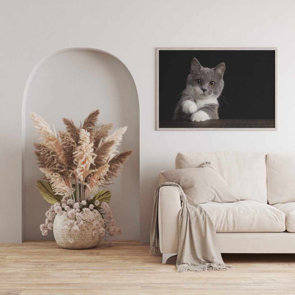 tablou canvas pisicuță cenușie camera