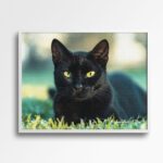 tablou textură canvas black cat