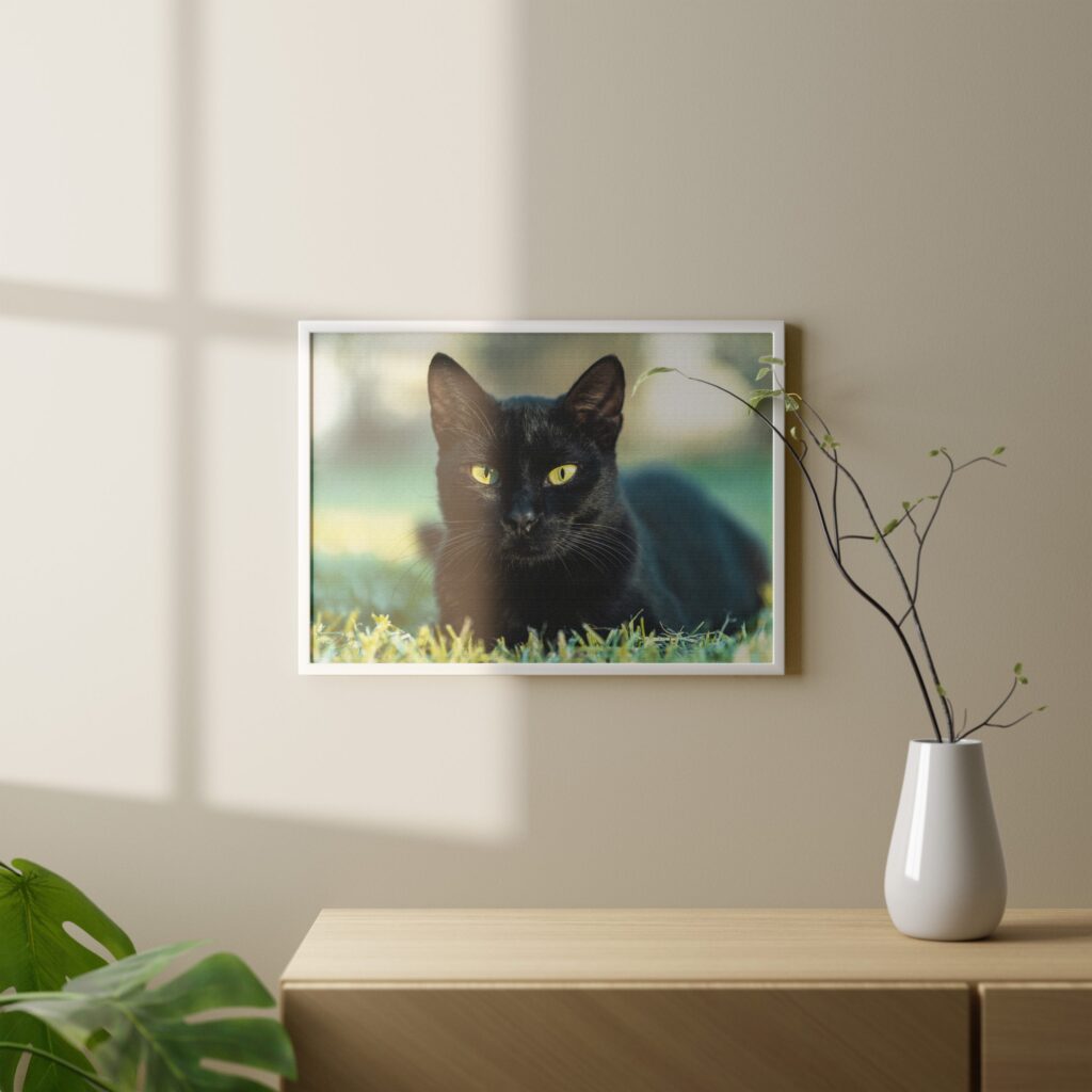tablou textură canvas black cat camera