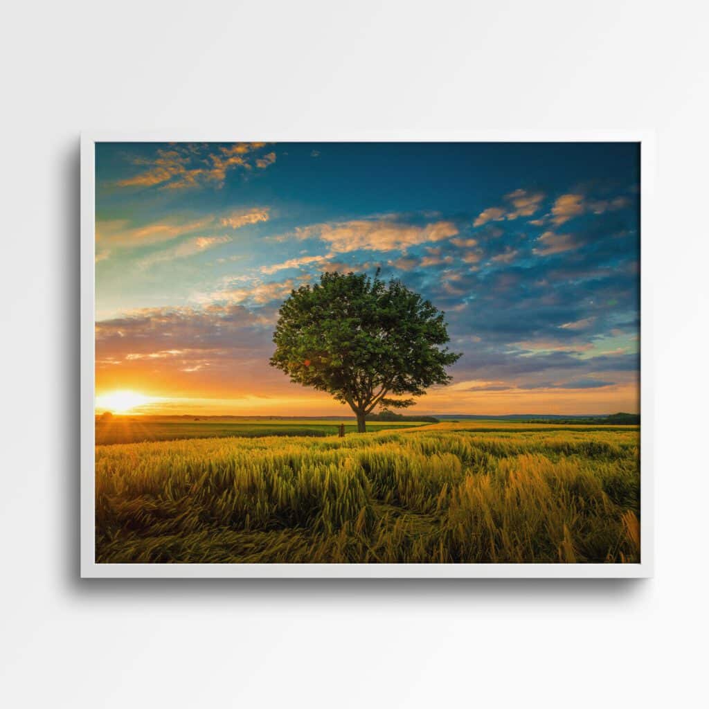 tablou textură canvas copac în apus de soare