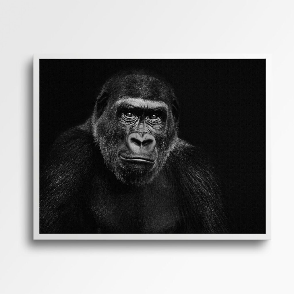 tablou textură canvas gorilă neagră
