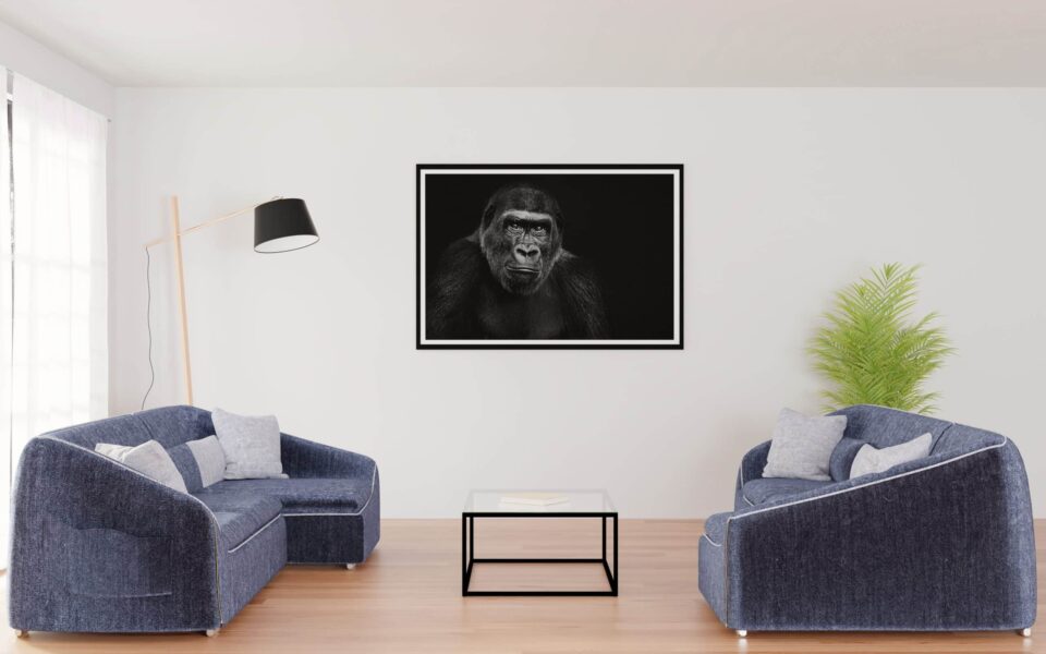 tablou textură canvas gorilă neagră camera