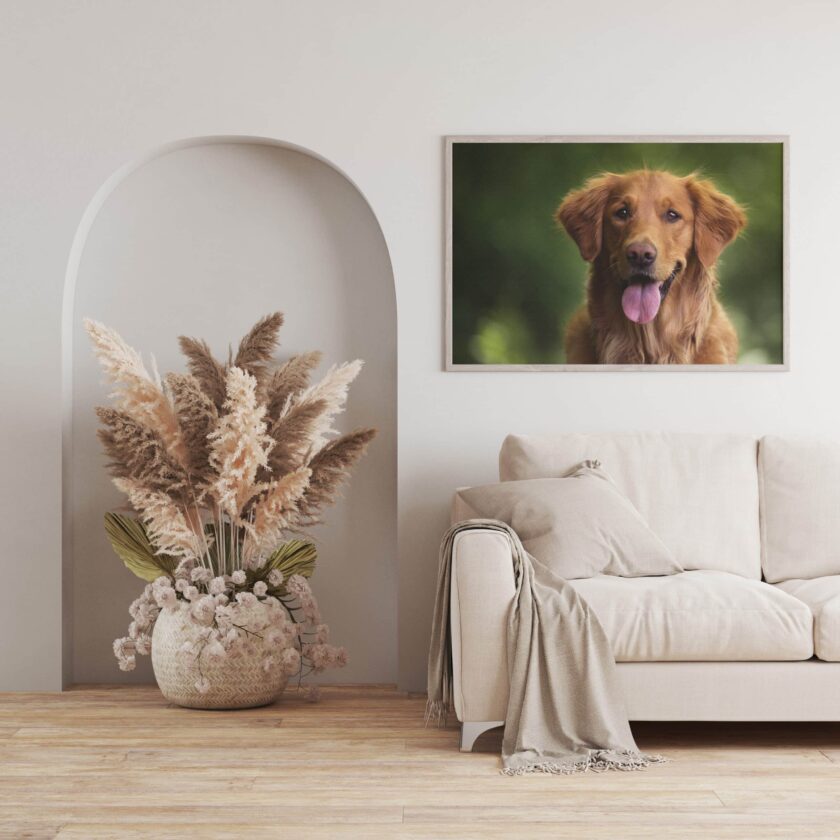 tablou textură canvas happy golden retriever camera