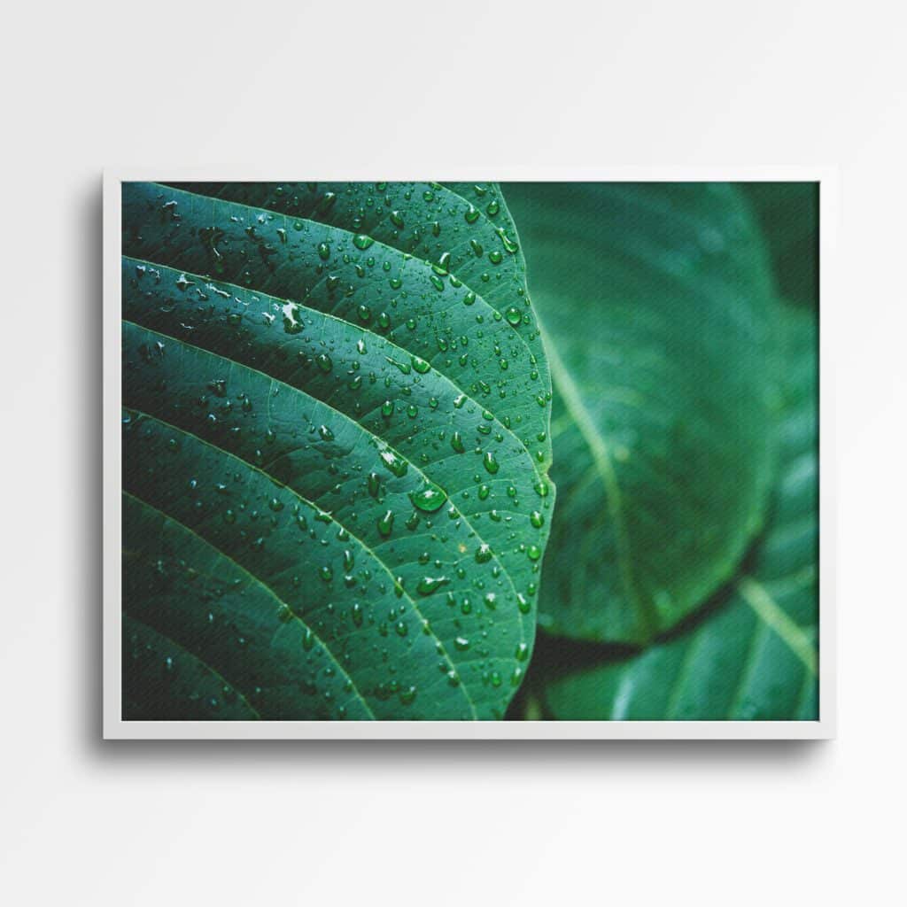 tablou textură canvas ploaie pe frunze tropicale