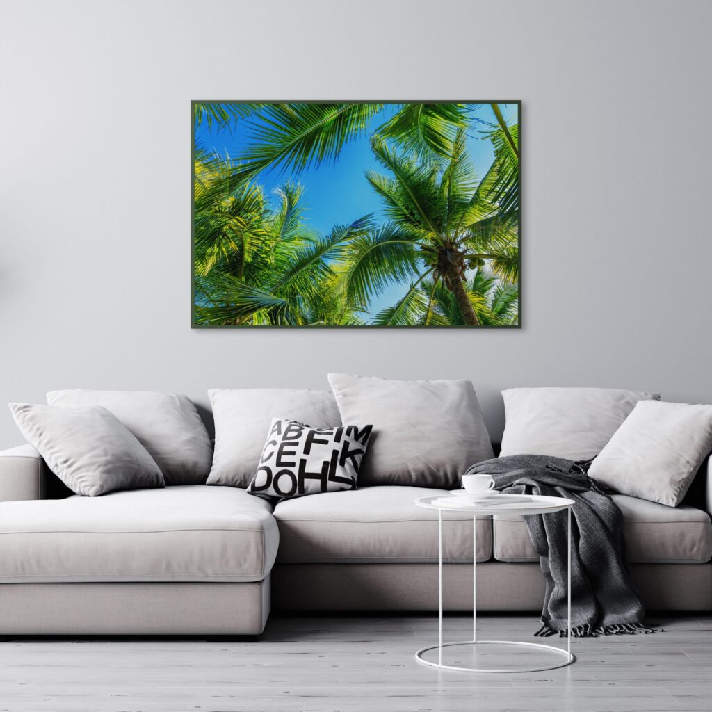 tablou textură canvas coconut tree camera