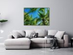 tablou textură canvas coconut tree camera