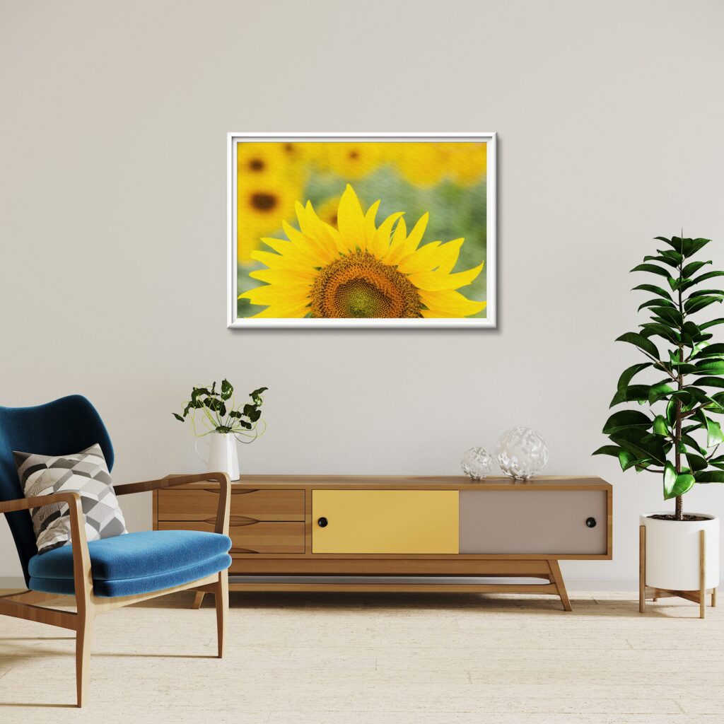 tablou textură canvas floarea soarelui camera
