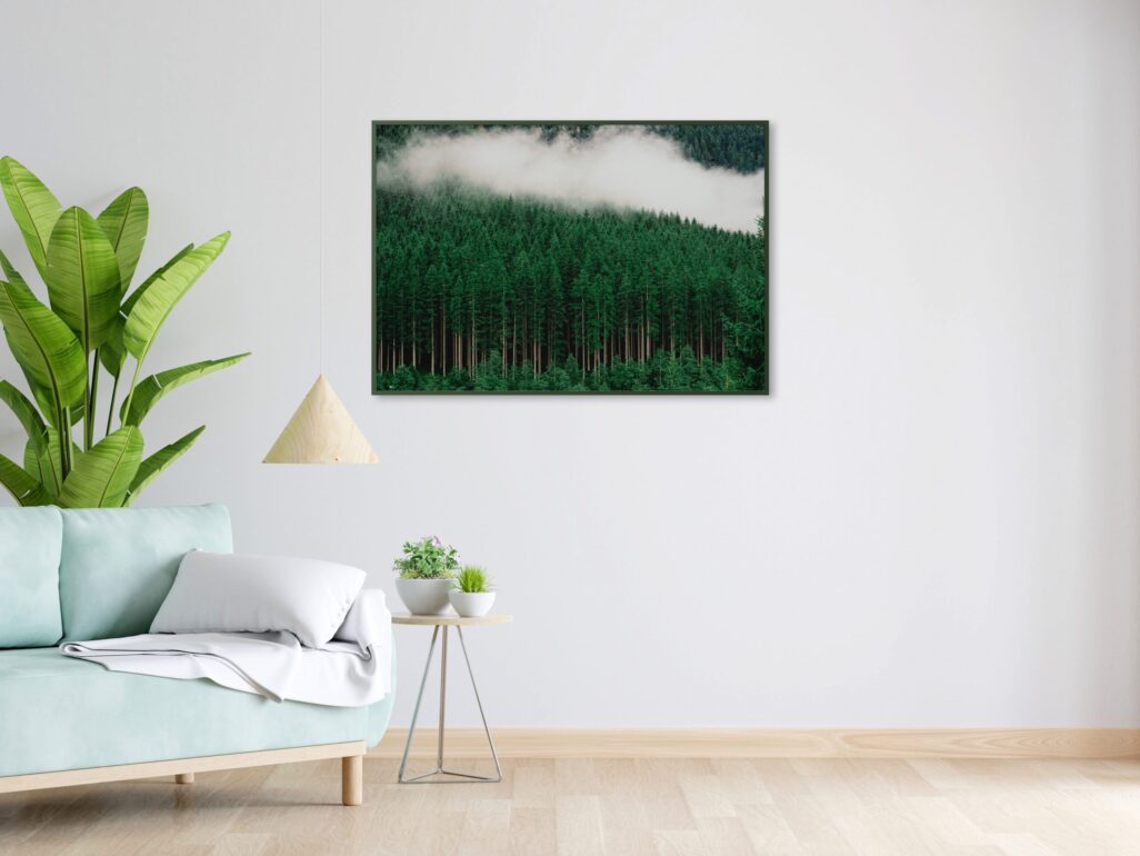 tablou textură canvas pădure densă de brazi camera