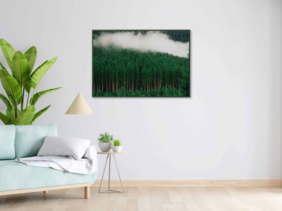 tablou textură canvas pădure densă de brazi camera