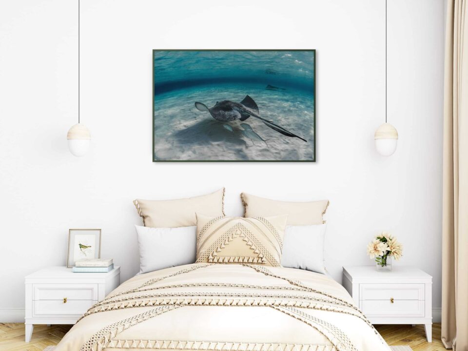 tablou textură canvas pisică de mare camera