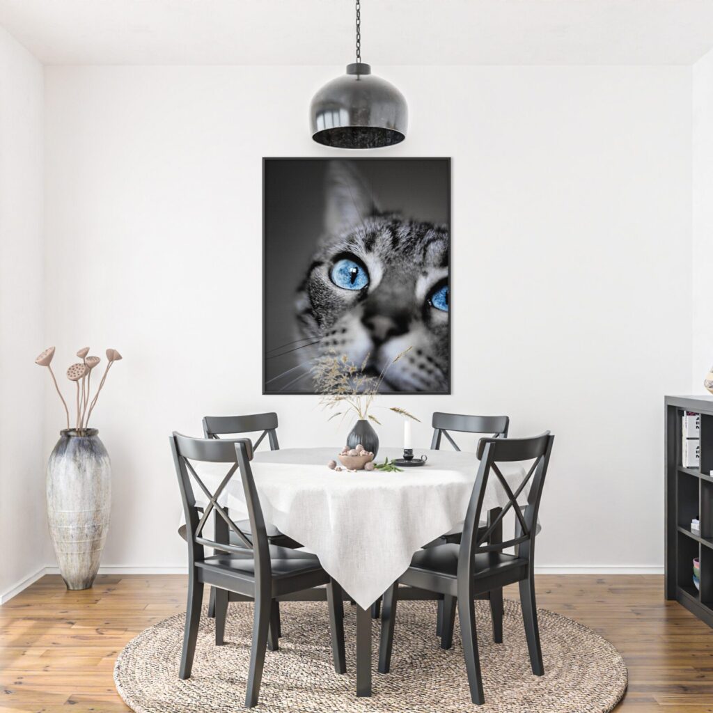 tablou textura canvas prim plan pisica cu ochi albastri camera