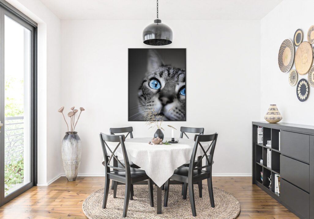 tablou textura canvas prim plan pisica cu ochi albastri camera