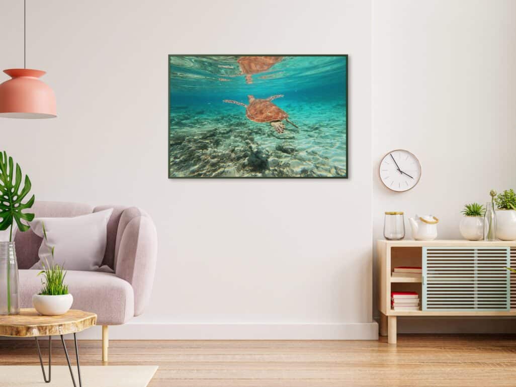 tablou textură canvas Țestoasă în ocean cameră