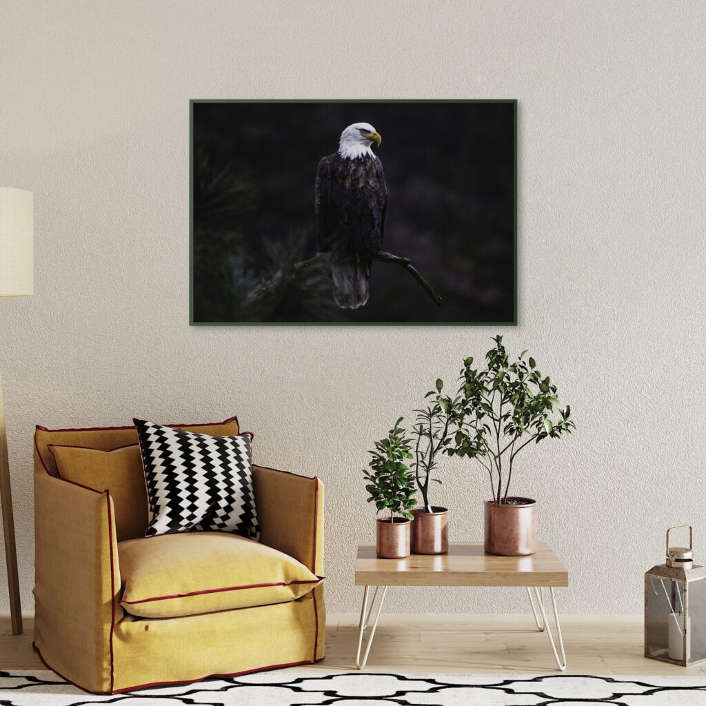 tablou textură canvas vultur pleșuv camera