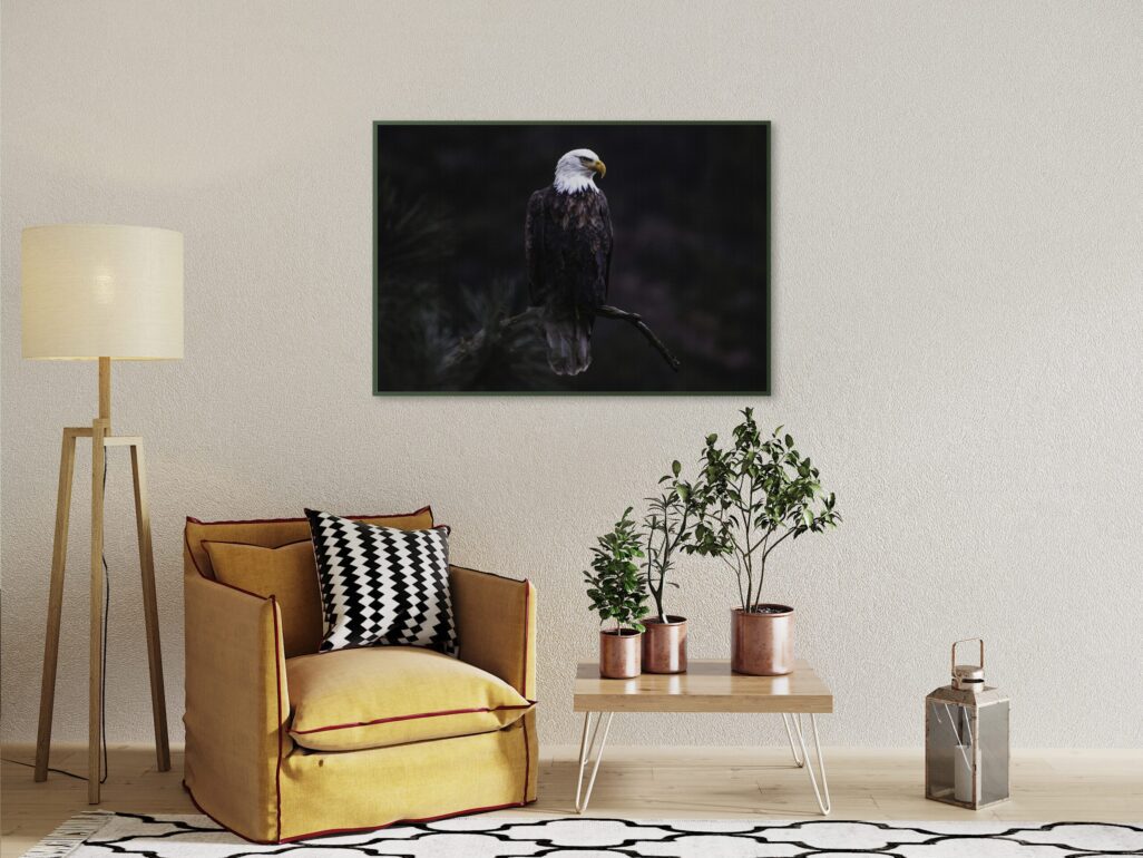 tablou textură canvas vultur pleșuv camera