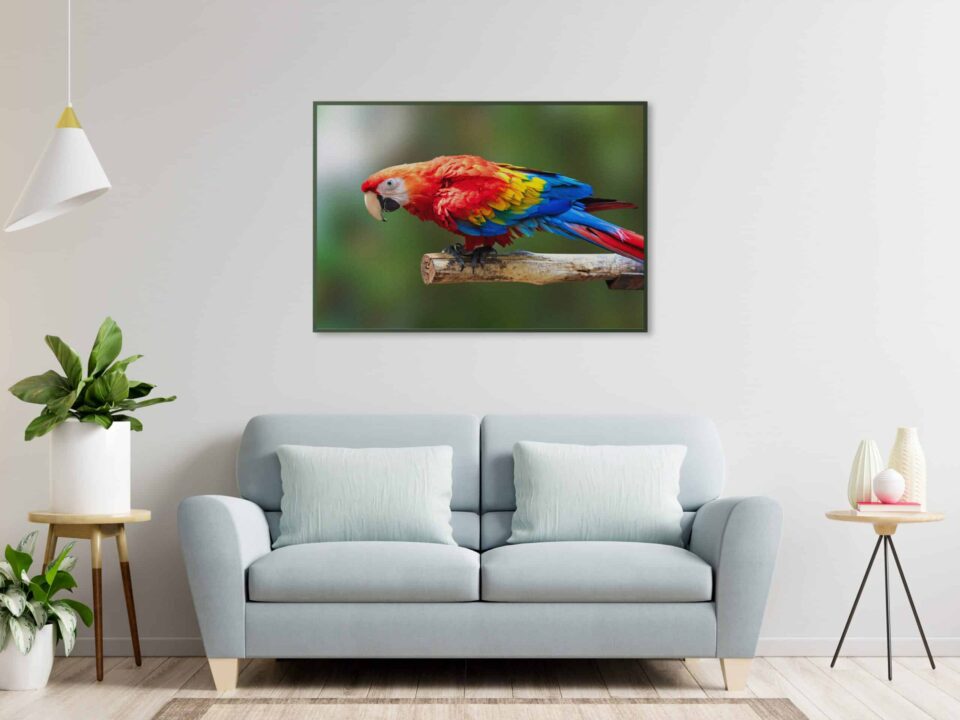 tablou textură canvas macau camera