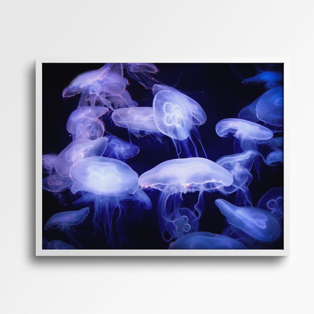 tablou textură canvas meduze