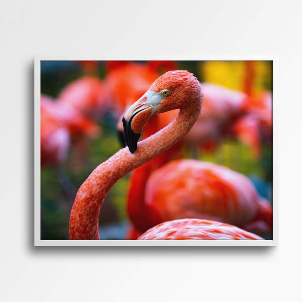 tablou textură canvas pink flamingo