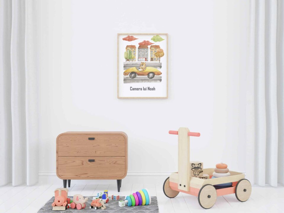tablou camera lui noah camera