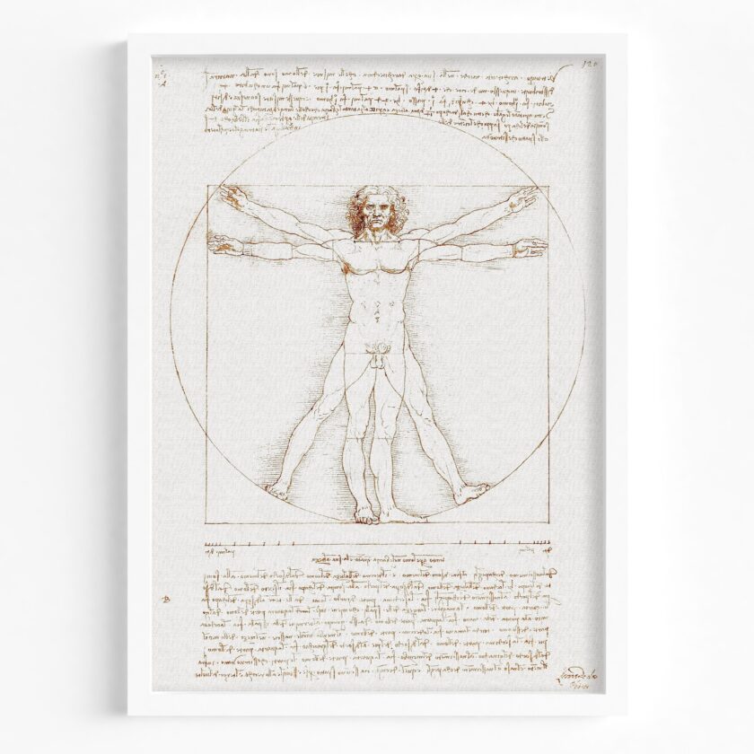 tablou textură canvas omul vitruvian