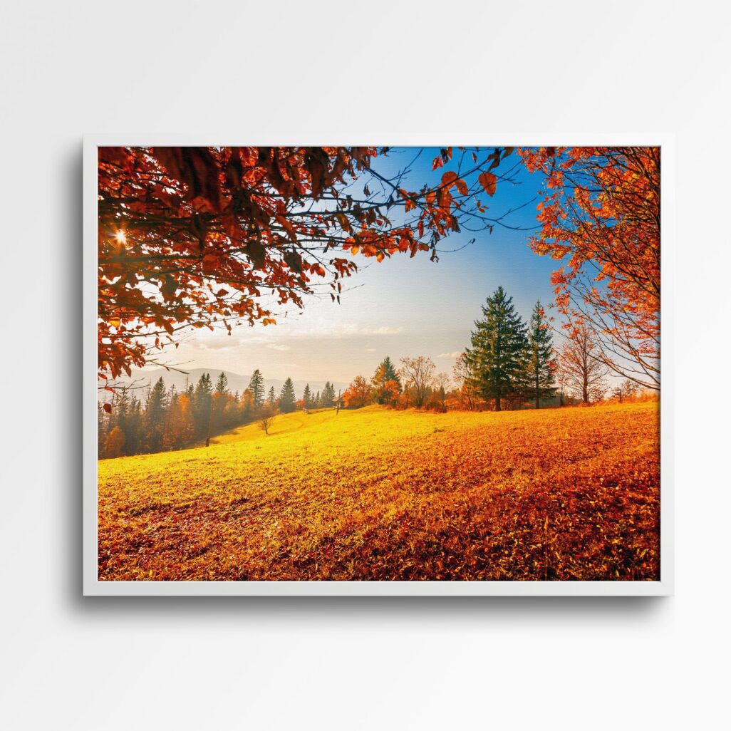 evergreen autumn tablou textură canvas