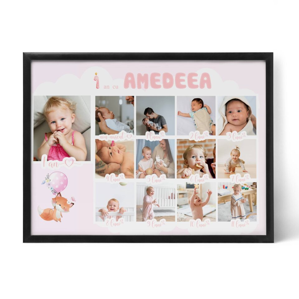 colaj 13 fotografii primul an cu amedeea