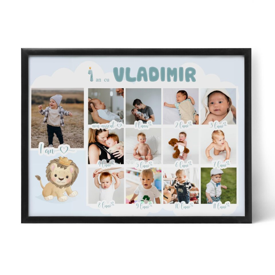 primul an cu vladimir colaj 13 fotografii (copiază)