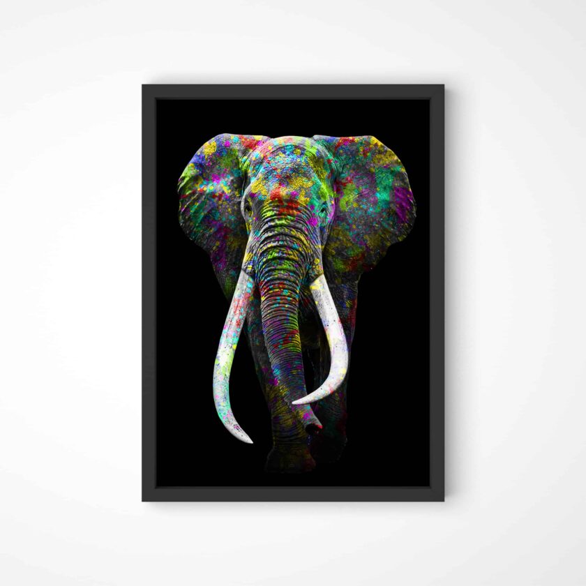 tablou textură canvas elefant colorat