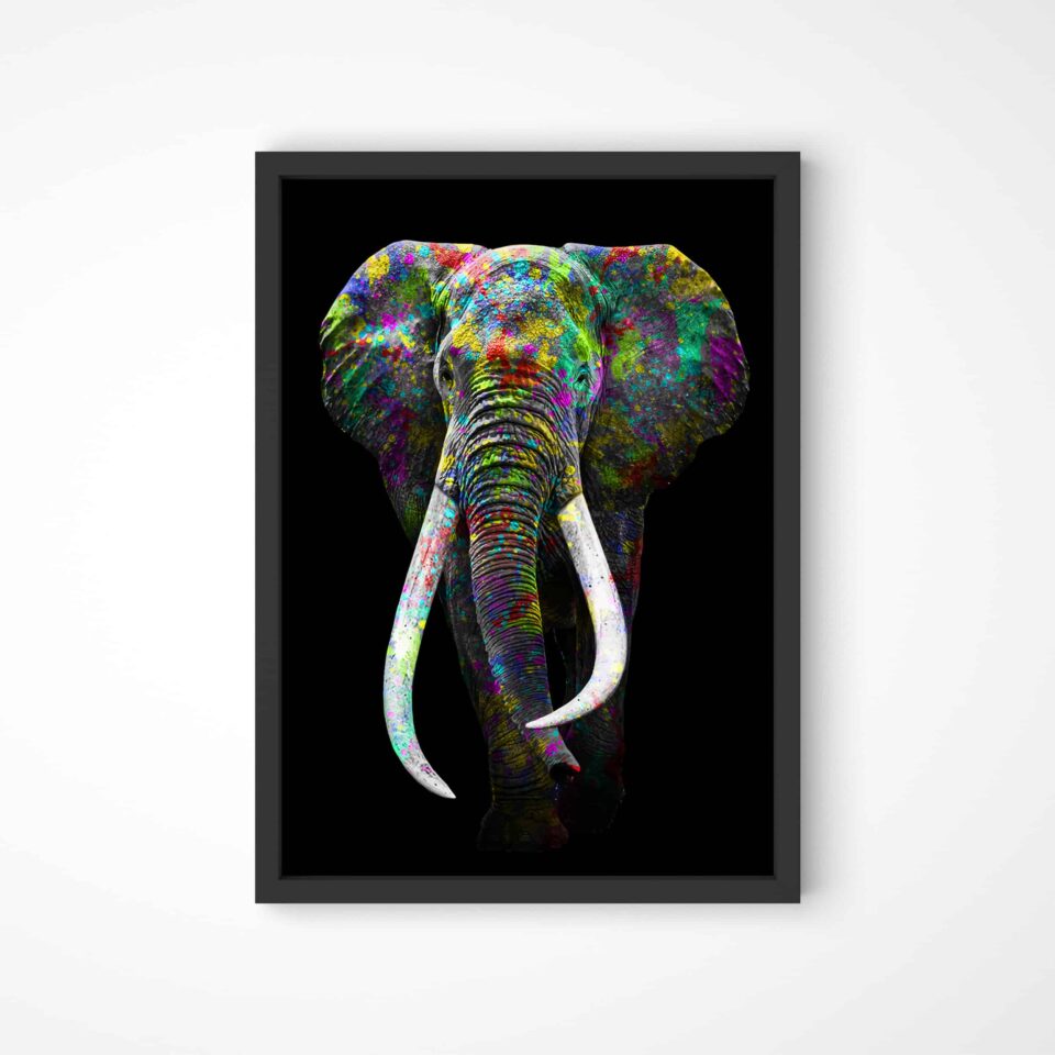 tablou textură canvas elefant colorat