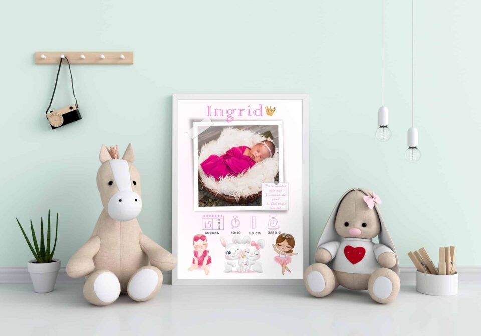 tablou personalizabil cu poză nou născut ingrid