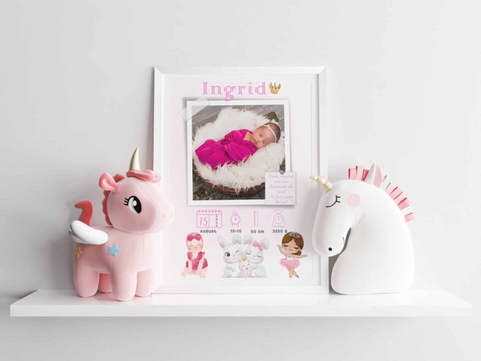 tablou personalizabil cu poză nou născut ingrid