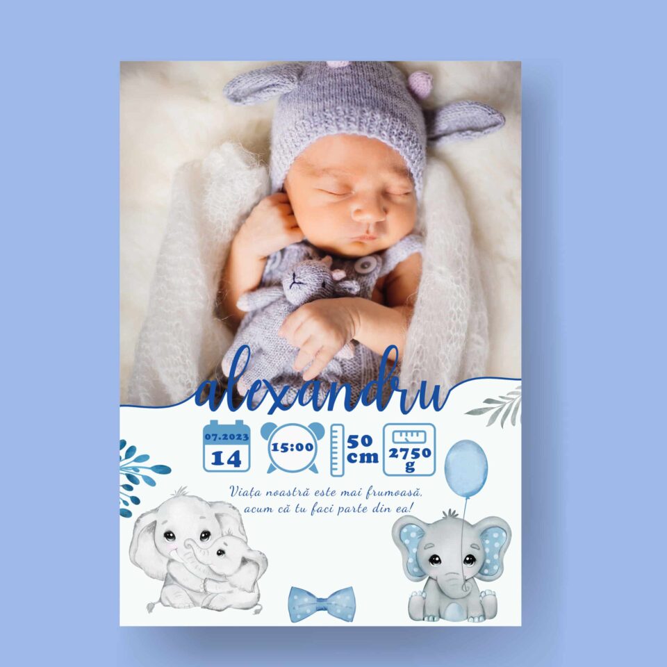 Alexandru Tablou Personalizabil cu Poză Nou-Născut în format electronic - imagine 2